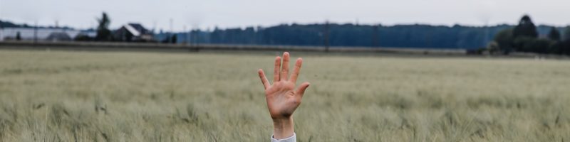Hand Raised in Field