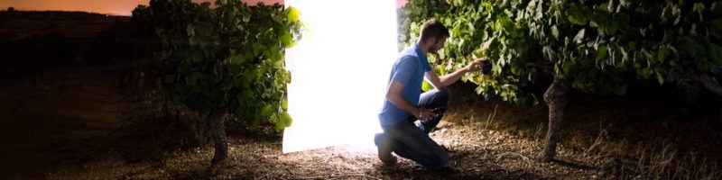 Man in Garden with Light